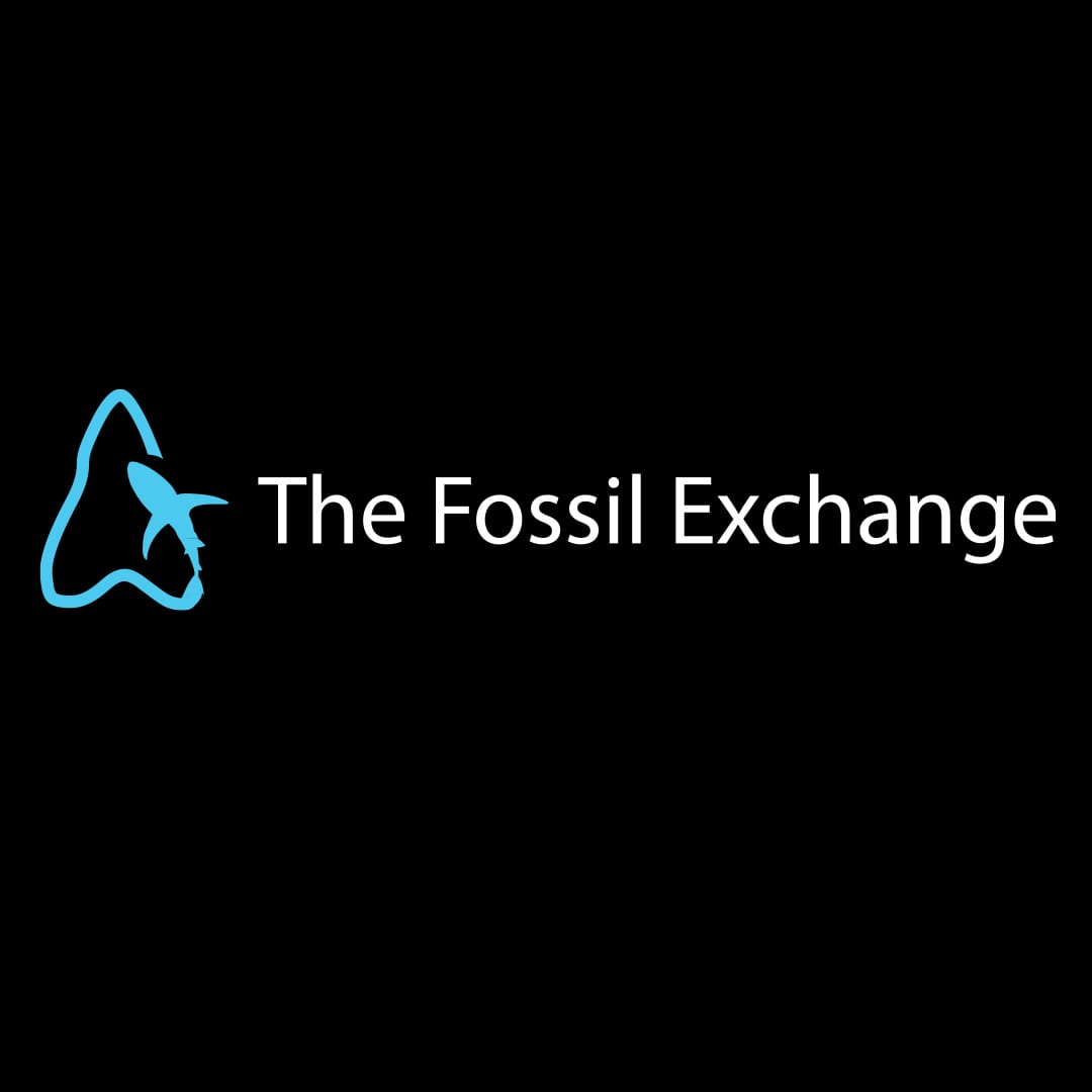 Return Policy - The Fossil Exchange