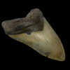 PhotoRoom 021 20230518 133310