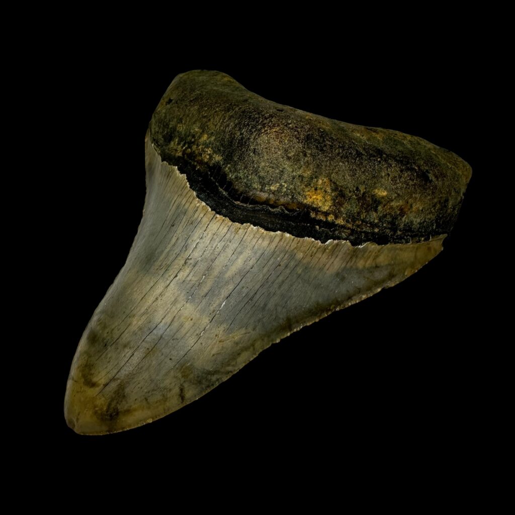 Unearthed