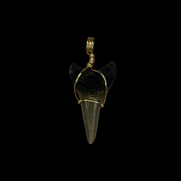 1.57" Mako Tooth Pendant