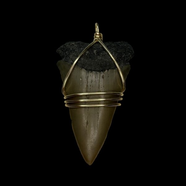 2.67" Mako Tooth Pendant