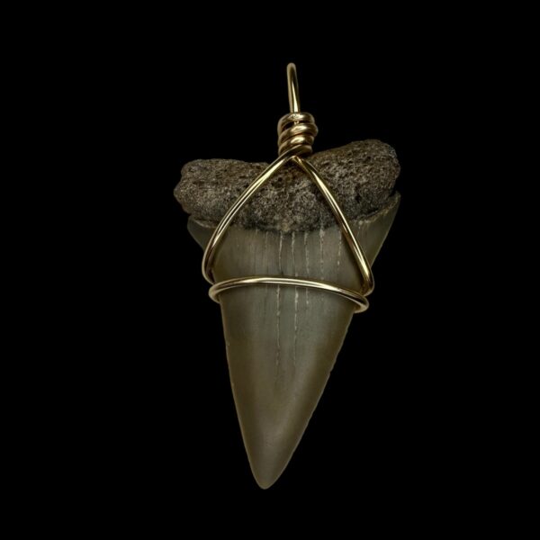 1.97" Mako Tooth Pendant