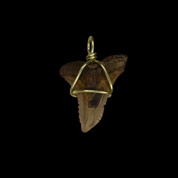 1.28" Snaggletooth Pendant