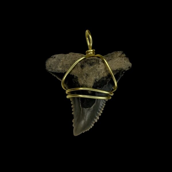 1.54" Snaggletooth Pendant