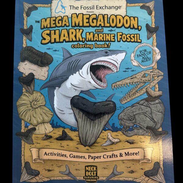 The Megalodon Shark Activity Book