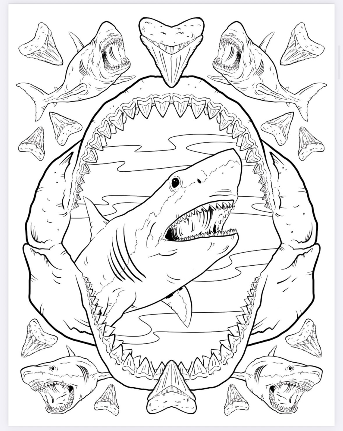 The Megalodon Shark Activity Book - Image 3