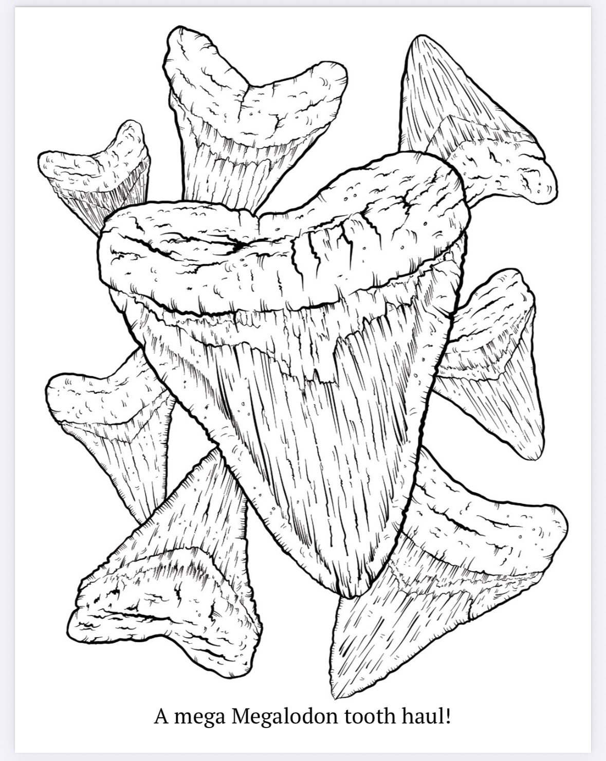 The Megalodon Shark Activity Book - Image 4