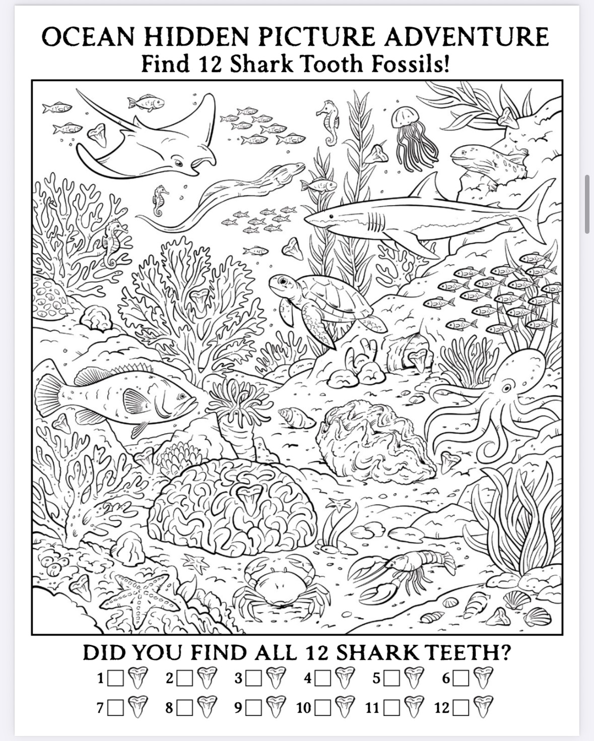 The Megalodon Shark Activity Book - Image 5