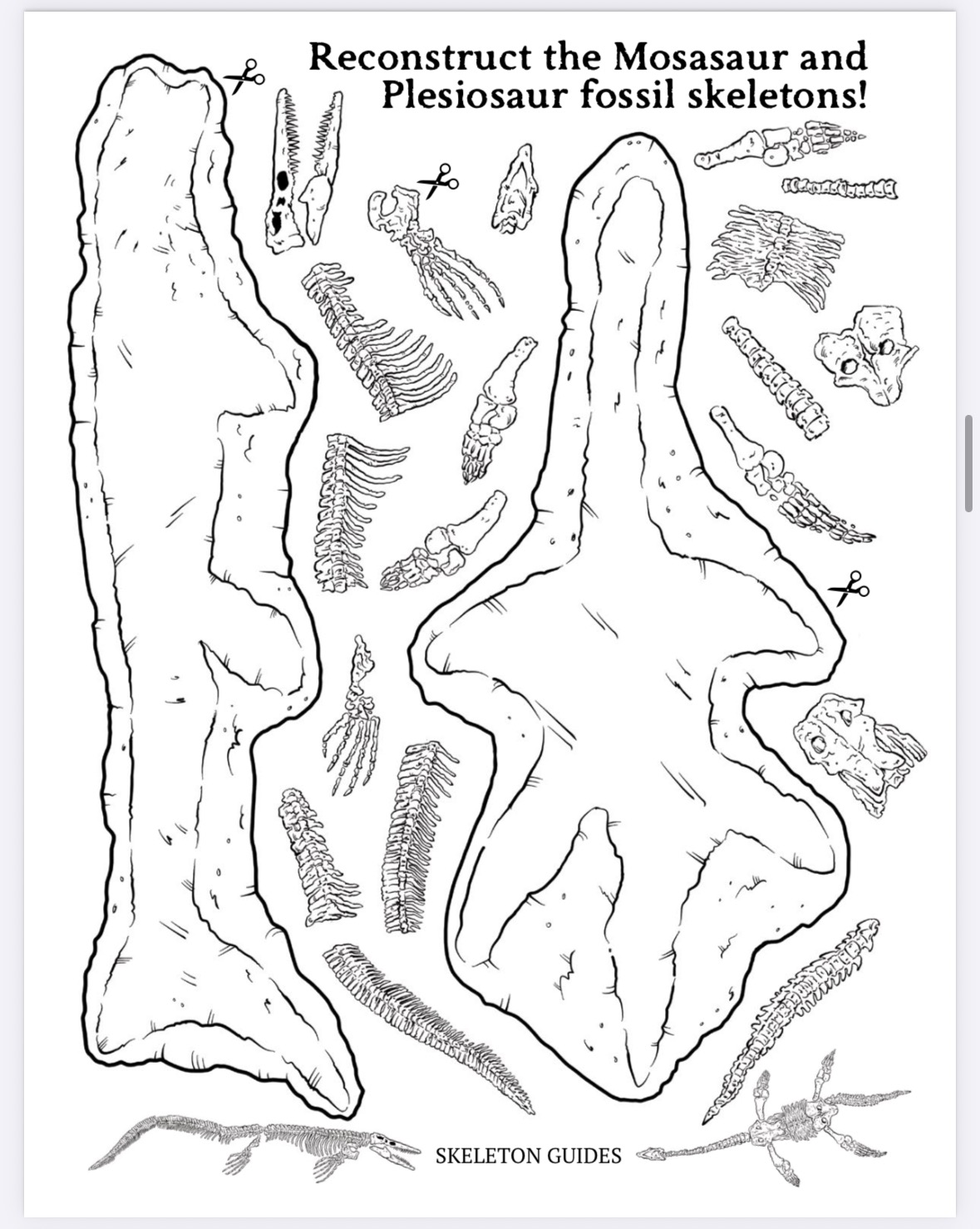 The Megalodon Shark Activity Book - Image 7