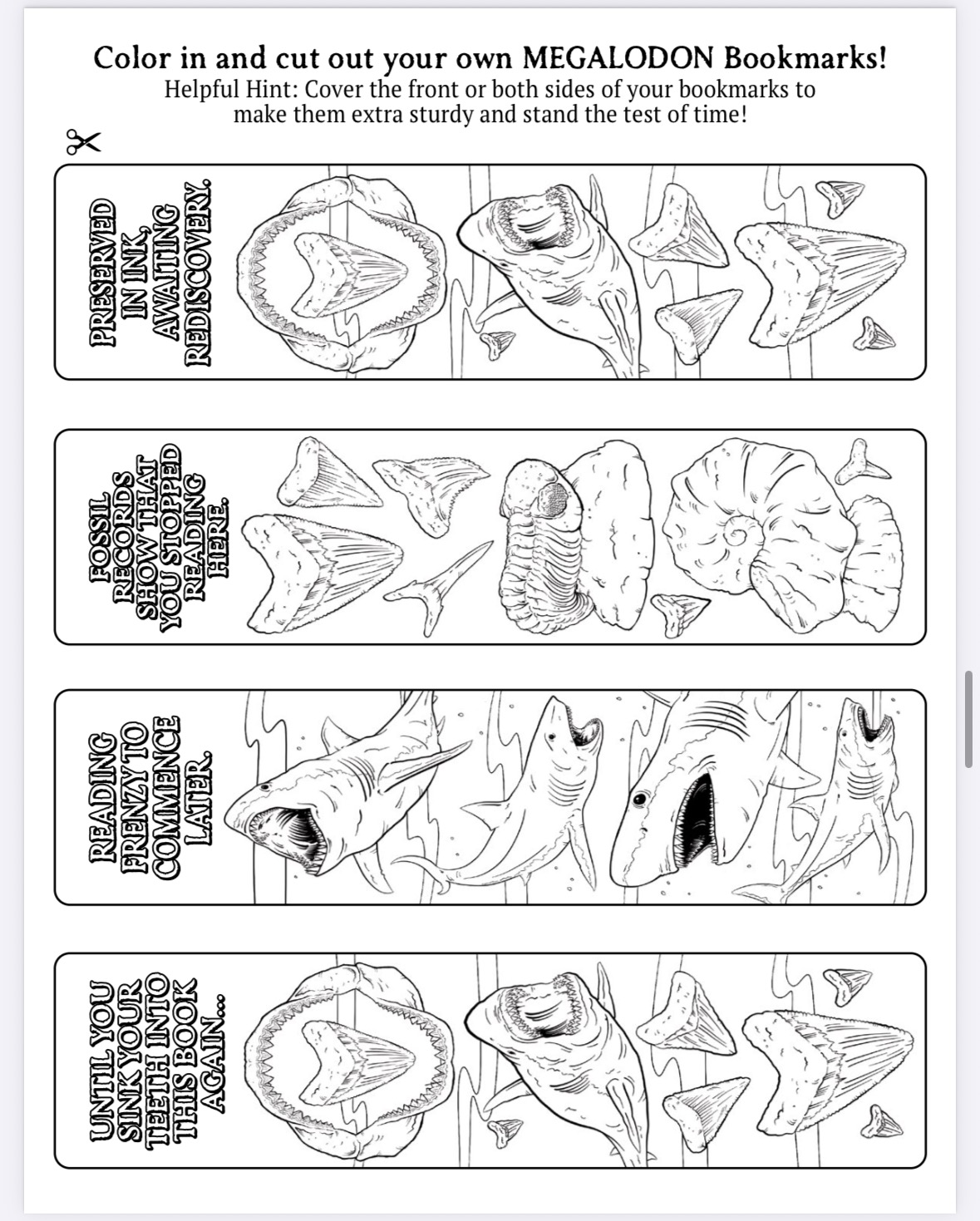The Megalodon Shark Activity Book - Image 12