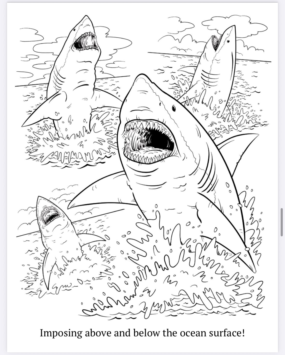 The Megalodon Shark Activity Book - Image 13