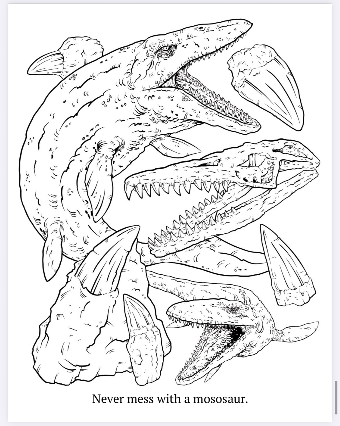 The Megalodon Shark Activity Book - Image 18