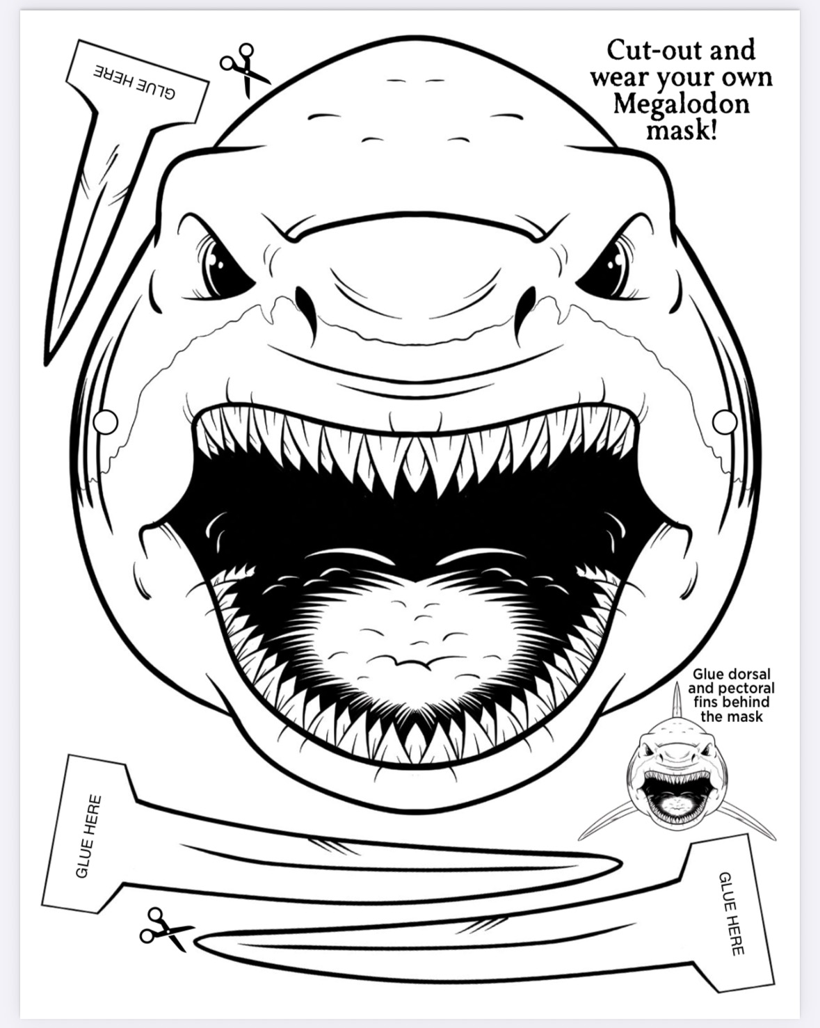 The Megalodon Shark Activity Book - Image 20