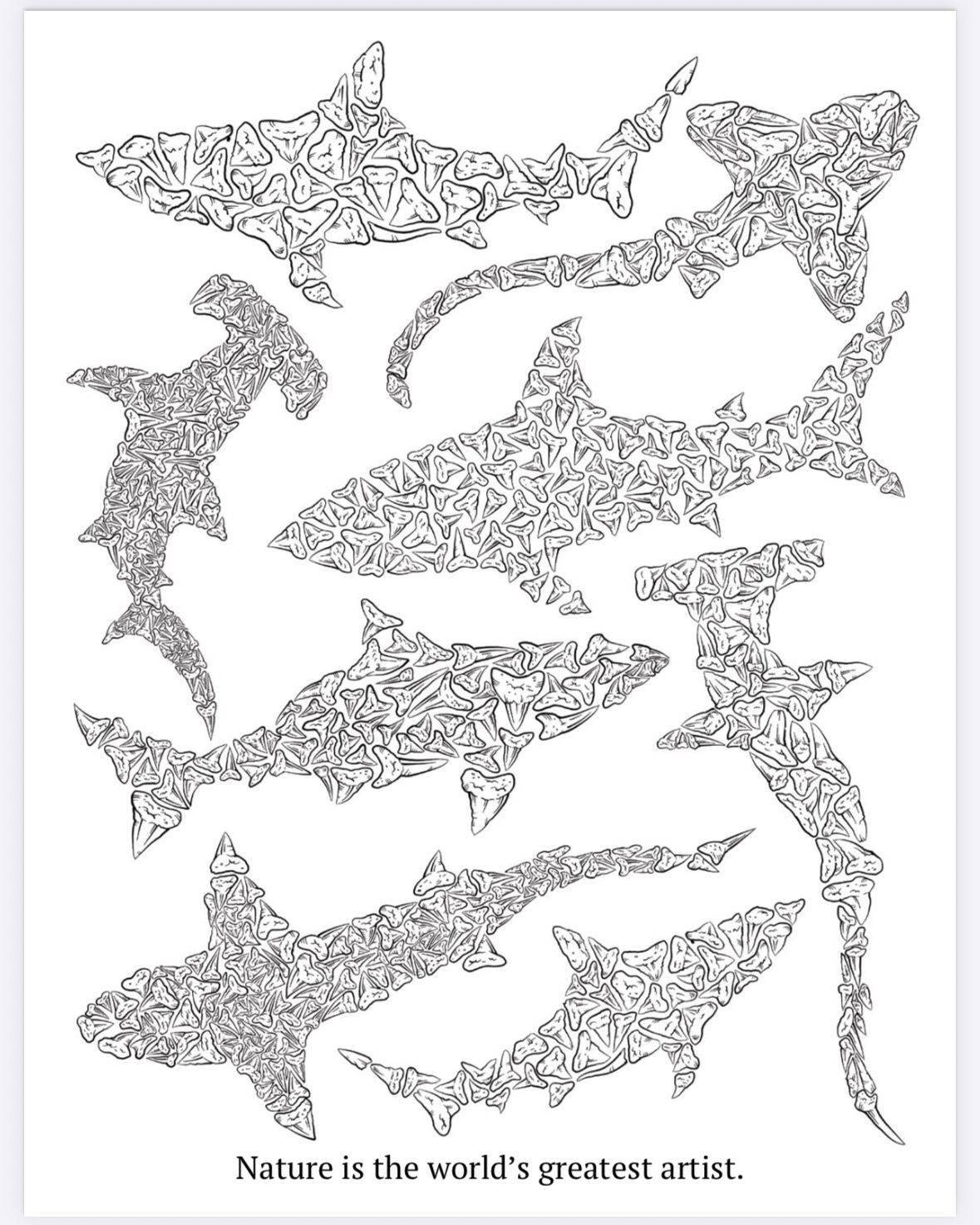 The Megalodon Shark Activity Book - Image 22