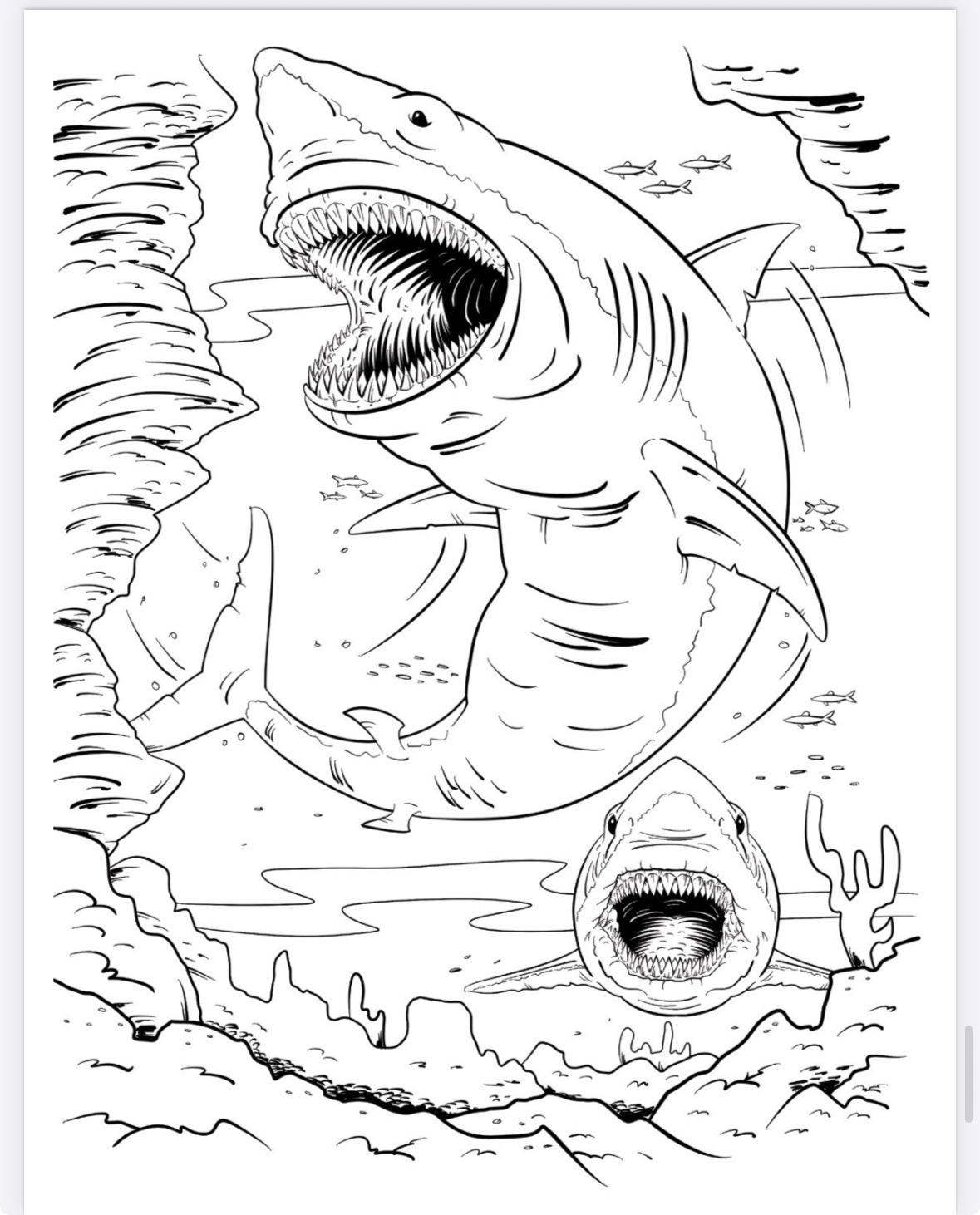 The Megalodon Shark Activity Book - Image 23