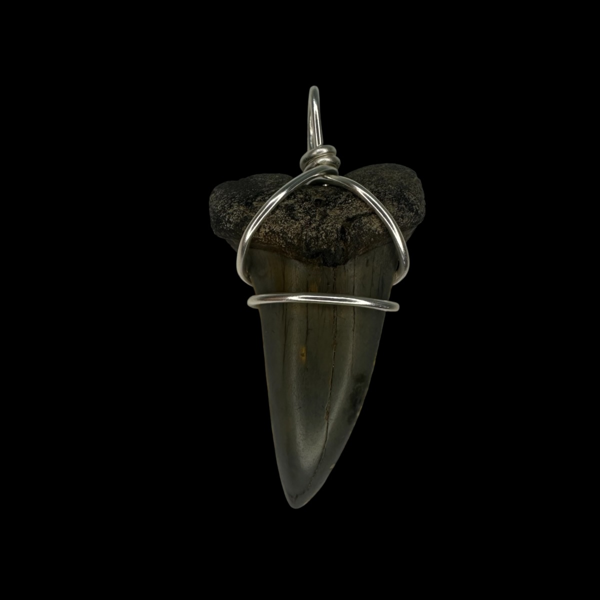 1.79" Mako Tooth Pendant