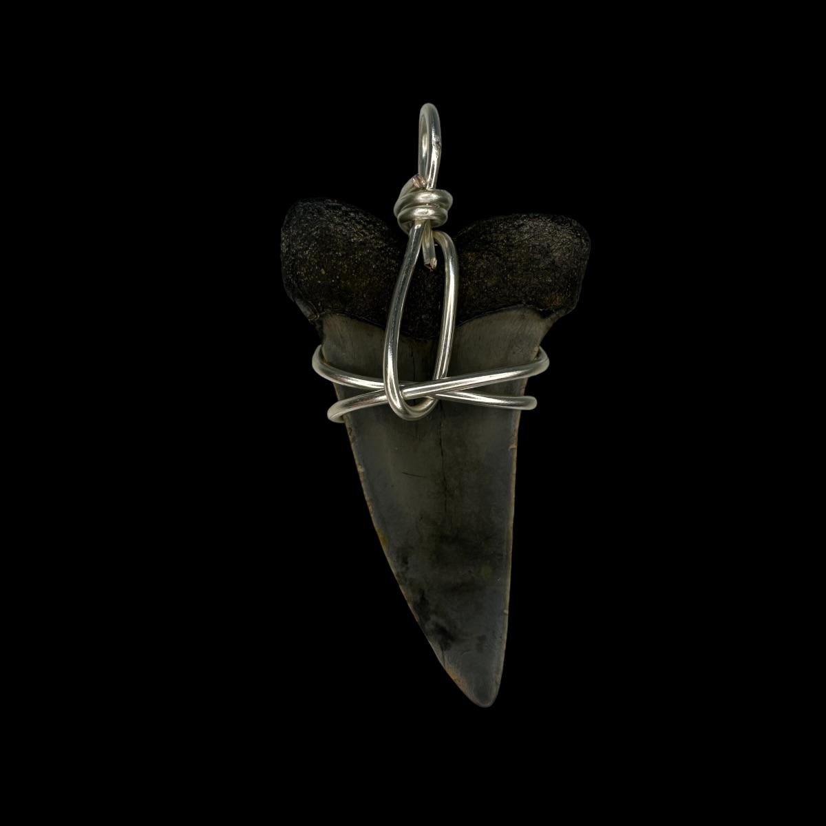 1.79" Mako Tooth Pendant - Image 2
