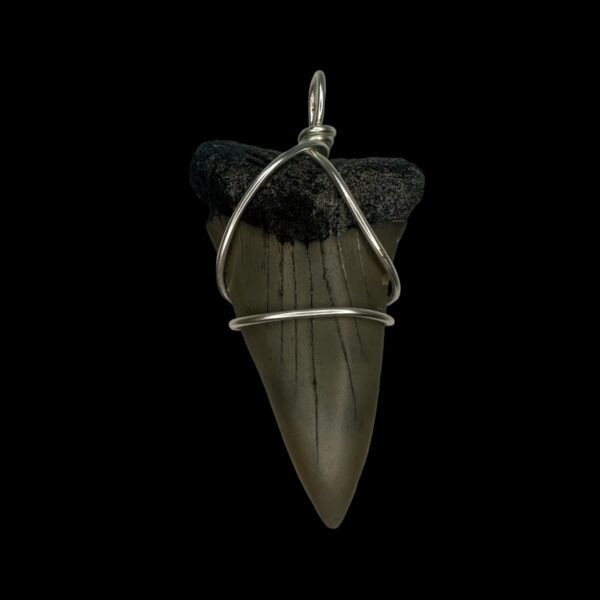 2.26" Mako Tooth Pendant