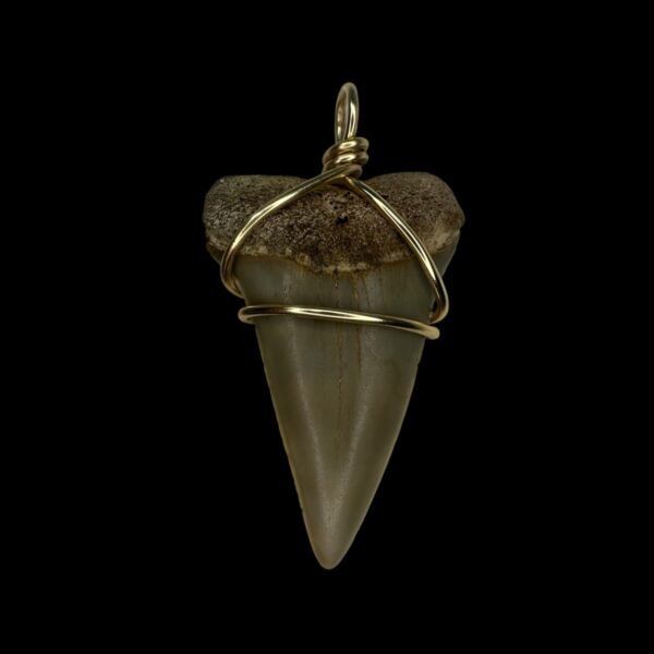 1.80" Mako Tooth Pendant