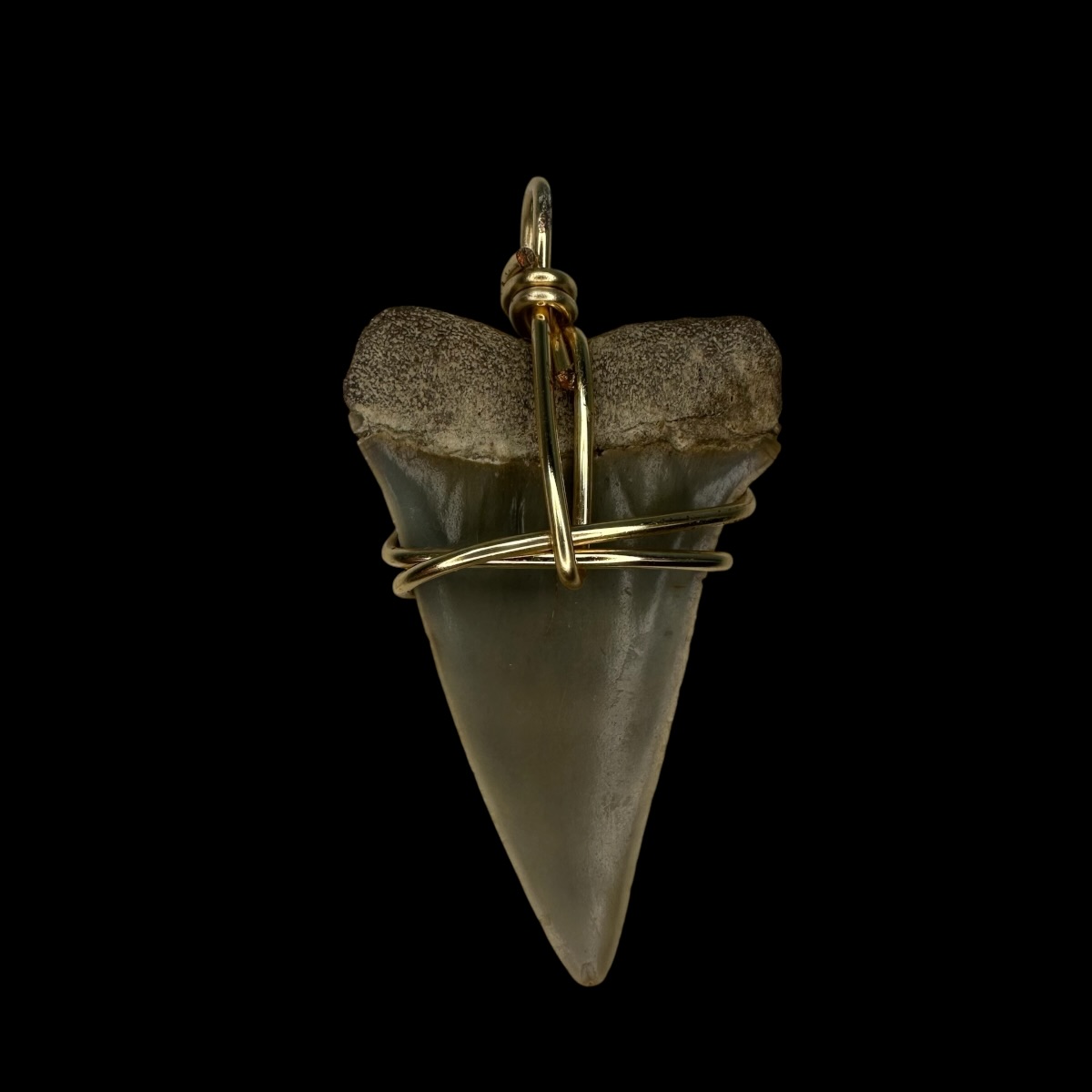 1.80" Mako Tooth Pendant - Image 2