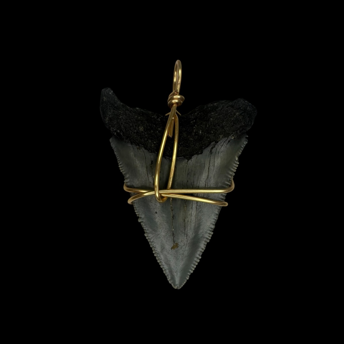 1.90" Megalodon Tooth Pendant - Image 2