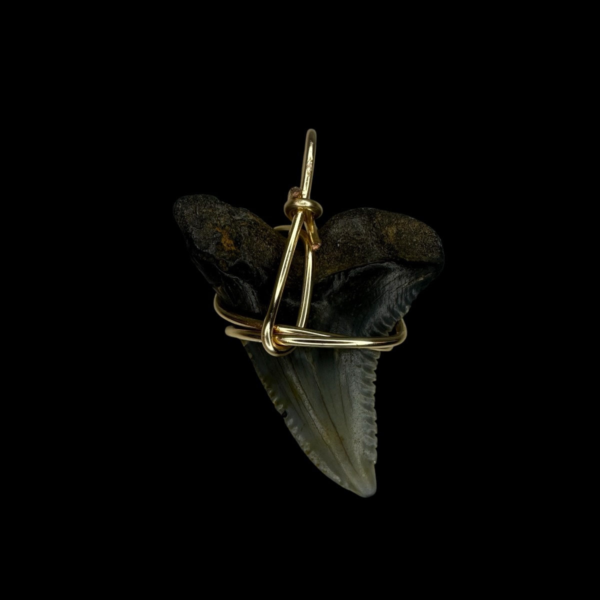 1.63" Snaggle Tooth Pendant - Image 2