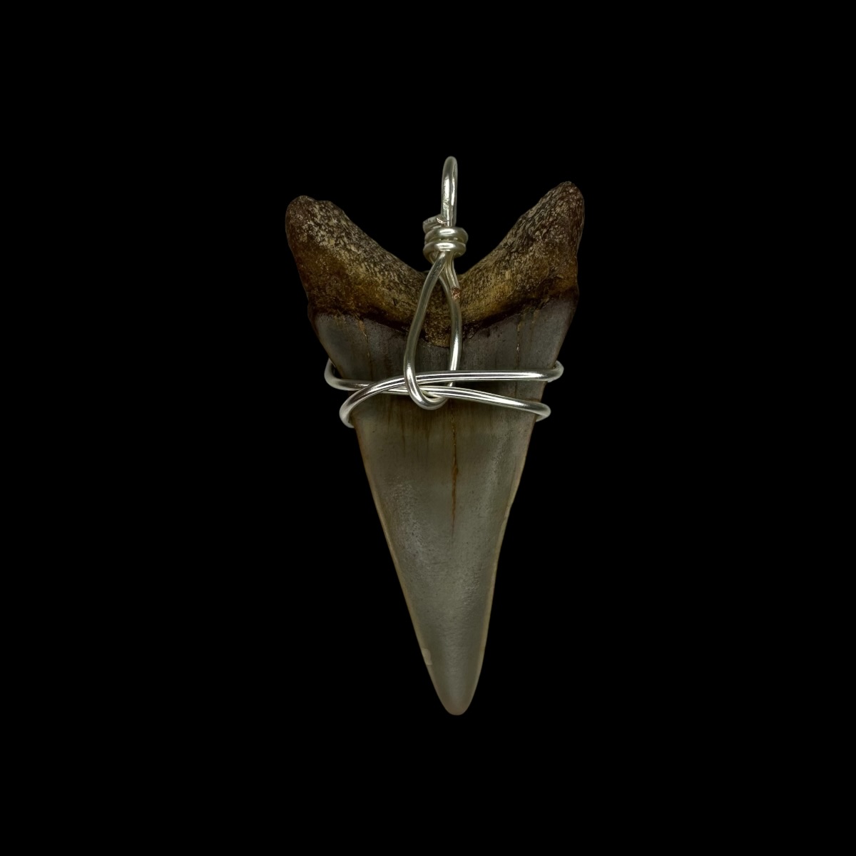 1.83" Mako Tooth Pendant - Image 2